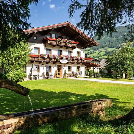 Naturpension Muehlhof Neukirchen am Großvenediger Zewnętrze zdjęcie